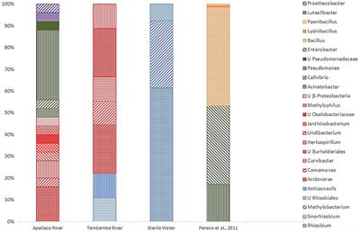 Nitrogen Fixation in Cereals